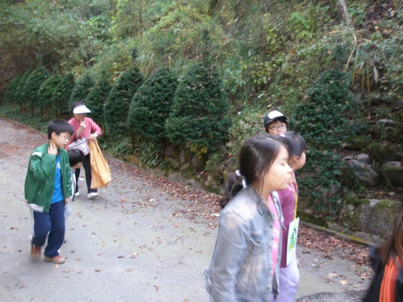 pary_PA270017.JPG