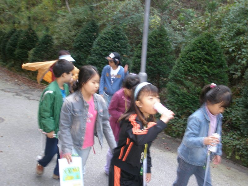 pary_PA270018.JPG