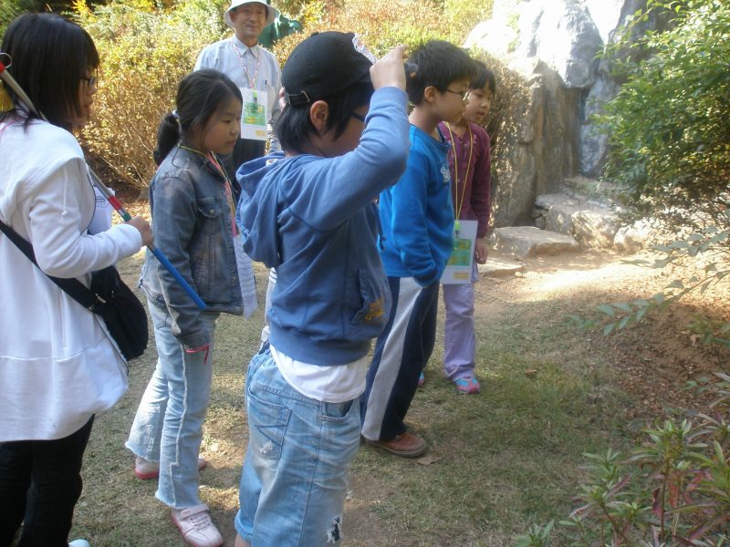 pary_PA270047.JPG